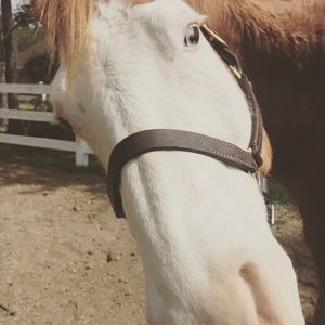 Meet your Posher, Mike